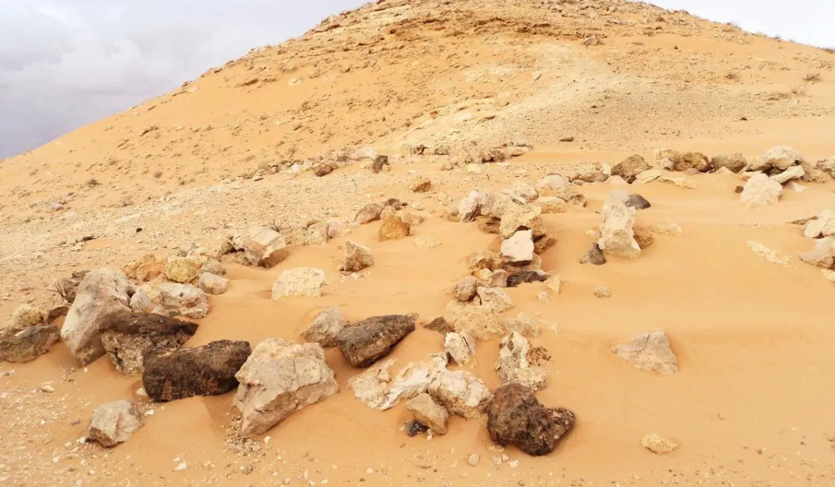 معركة قارة البغلة (المعروفة أيضاً بمعركة وادي بي) هي معركة تاريخية وقعت في 29 مايو 1842 بليبيا، وأنهت آخر سلطنة مستقلة في منطقة فزان والمنطقة الوسطى.