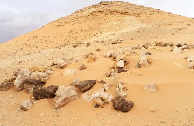 معركة قارة البغلة (المعروفة أيضاً بمعركة وادي بي) هي معركة تاريخية وقعت في 29 مايو 1842 بليبيا، وأنهت آخر سلطنة مستقلة في منطقة فزان والمنطقة الوسطى.